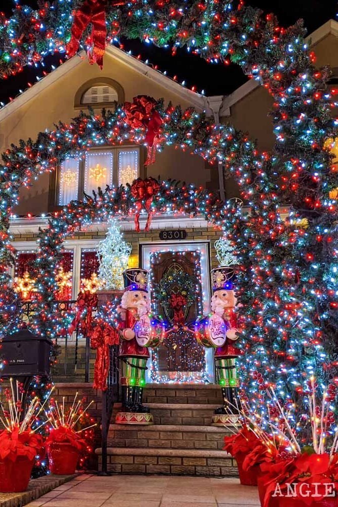 Christmas Light Installation