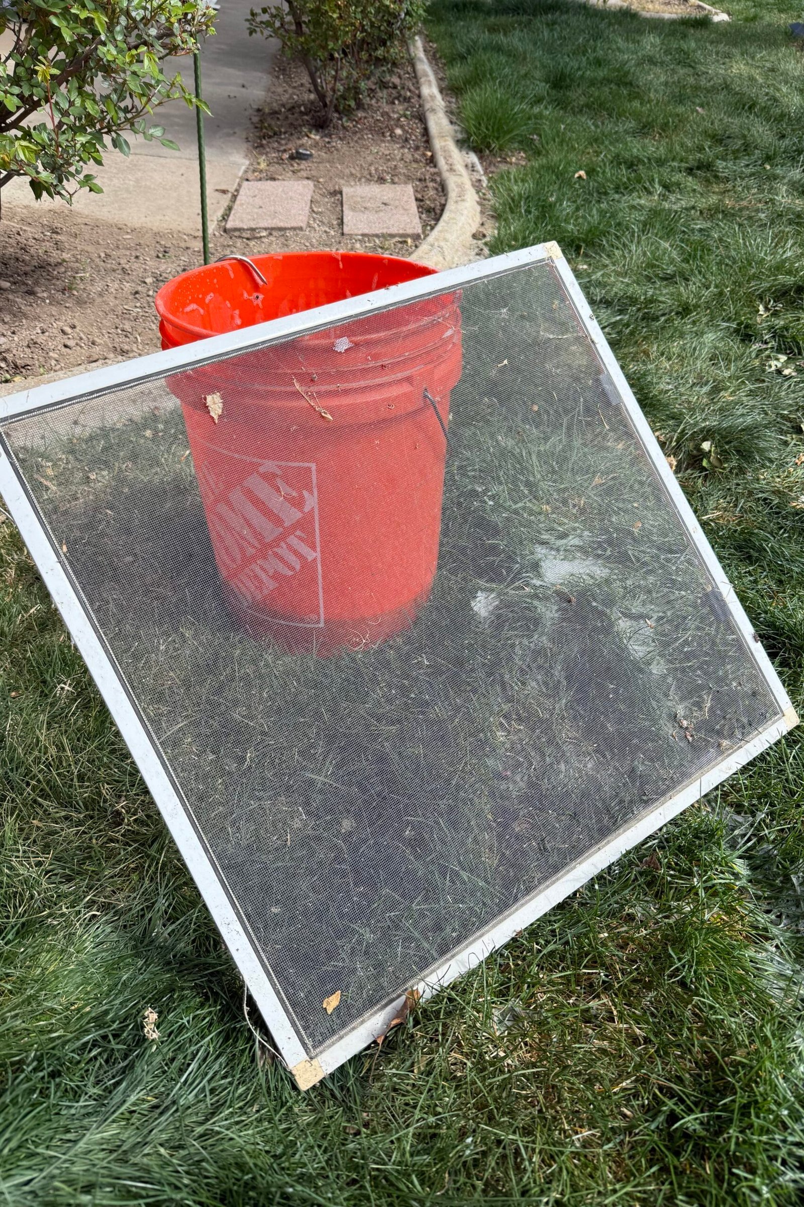 Window Screen Repair
