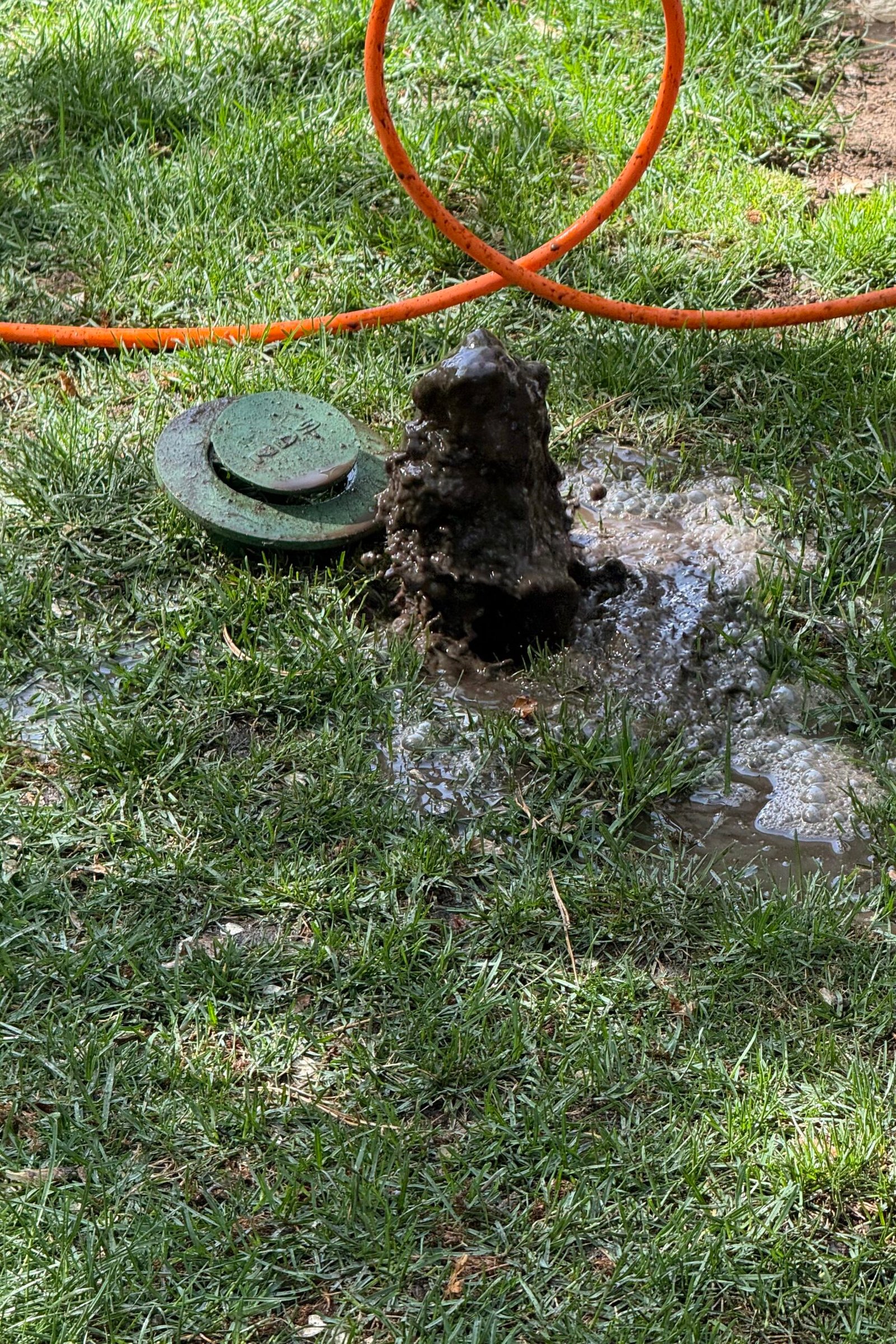 Drain Cleaning