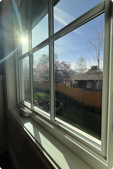 Window Cleaning
